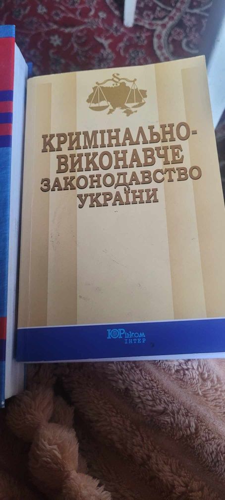 Кримінально-виклонавче законодавство.Бухгалтерський фінансовий облік