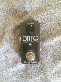 tc electronic: ditto looper