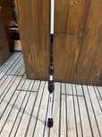 Daiwa Team Daiwa Trout Area 1.95m 1-6g