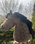 Sprzedam hobby horse z wyposażeniem
