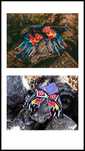 Luvas Red Bull/KTM para Moto/Motocross(2 Cores)|NOVAS