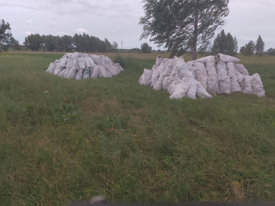 Продам соснову кору