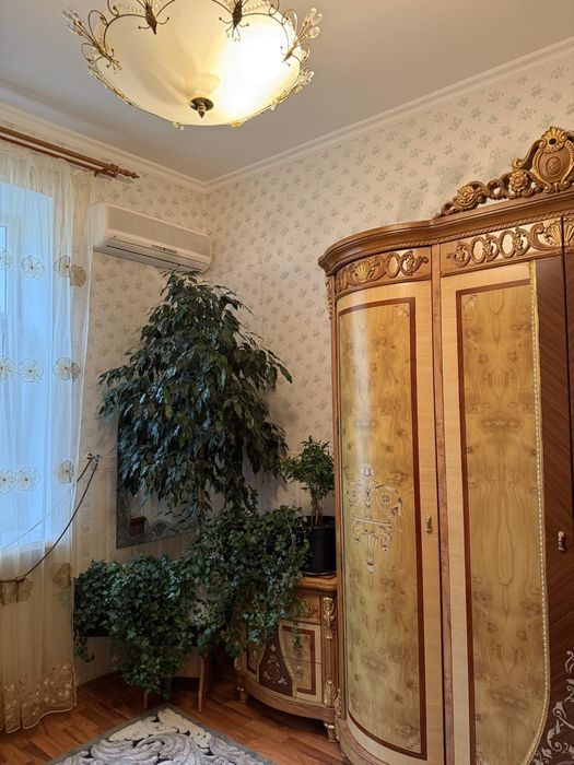 Кімнатни рослини, фікуси та плющи