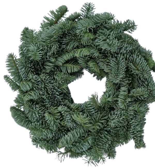 Wianki nobilis 3 sztuk