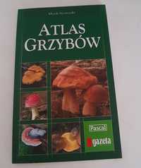 Atlas grzybów - poradnik zbieracza
