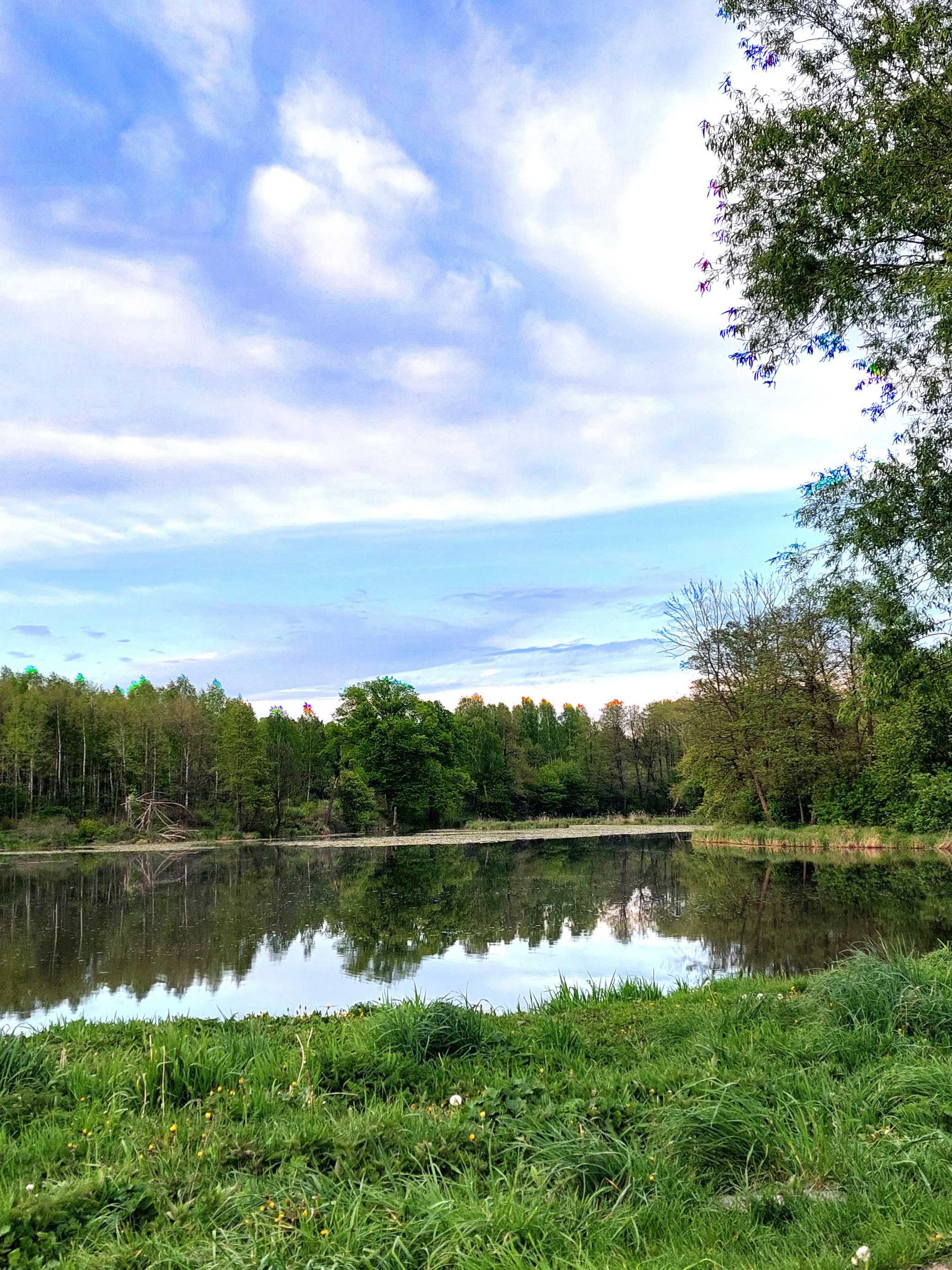Działka jak z bajki – las, spokój, natura!