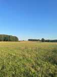 Działka rekreacyjna Mazury, blisko jezior, warunki zabudowy 59 zł/m2