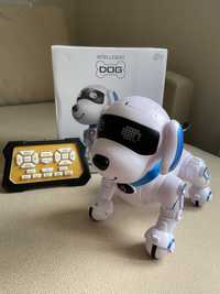 Робот DOG на управлінні