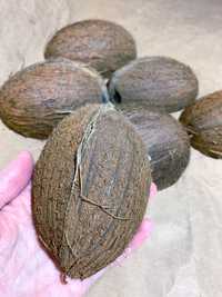 Скорлупа кокоса. Шкаралупа кокосу