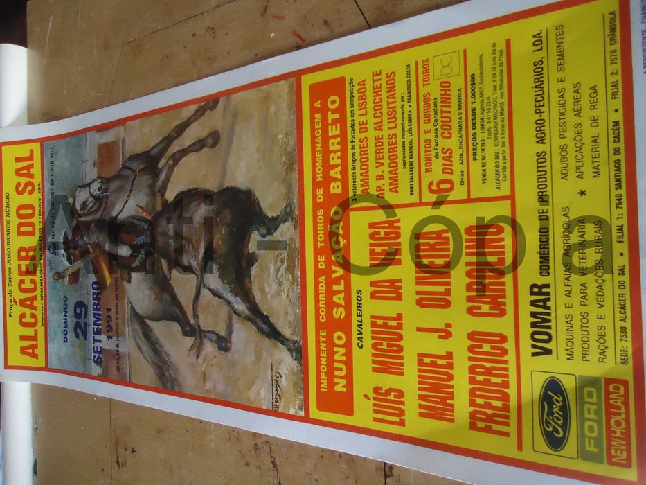 Toiros - Cartazes de Montra 6
