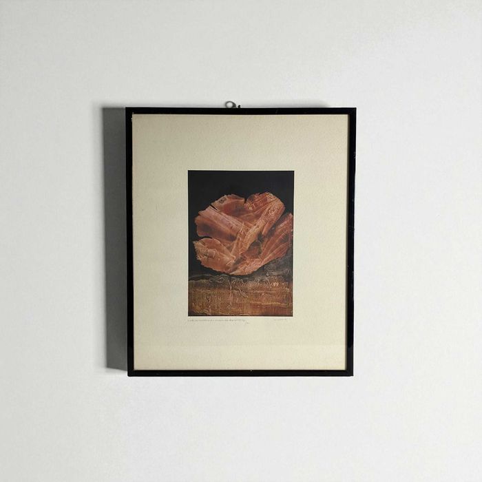 Obraz abstrakcja | dekoracja na ścianę | forma organiczna sygnowany