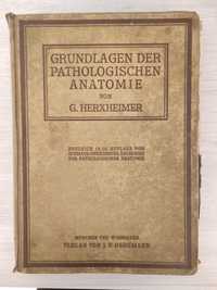 Grundlagen der Pathologischen Anatomie von Prof. Dr. Gotthold Herxheim