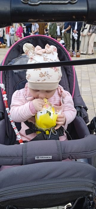 Коляска 2 в 1 сіра з розовим