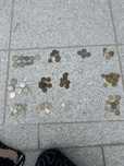 Moedas antigas diversas
