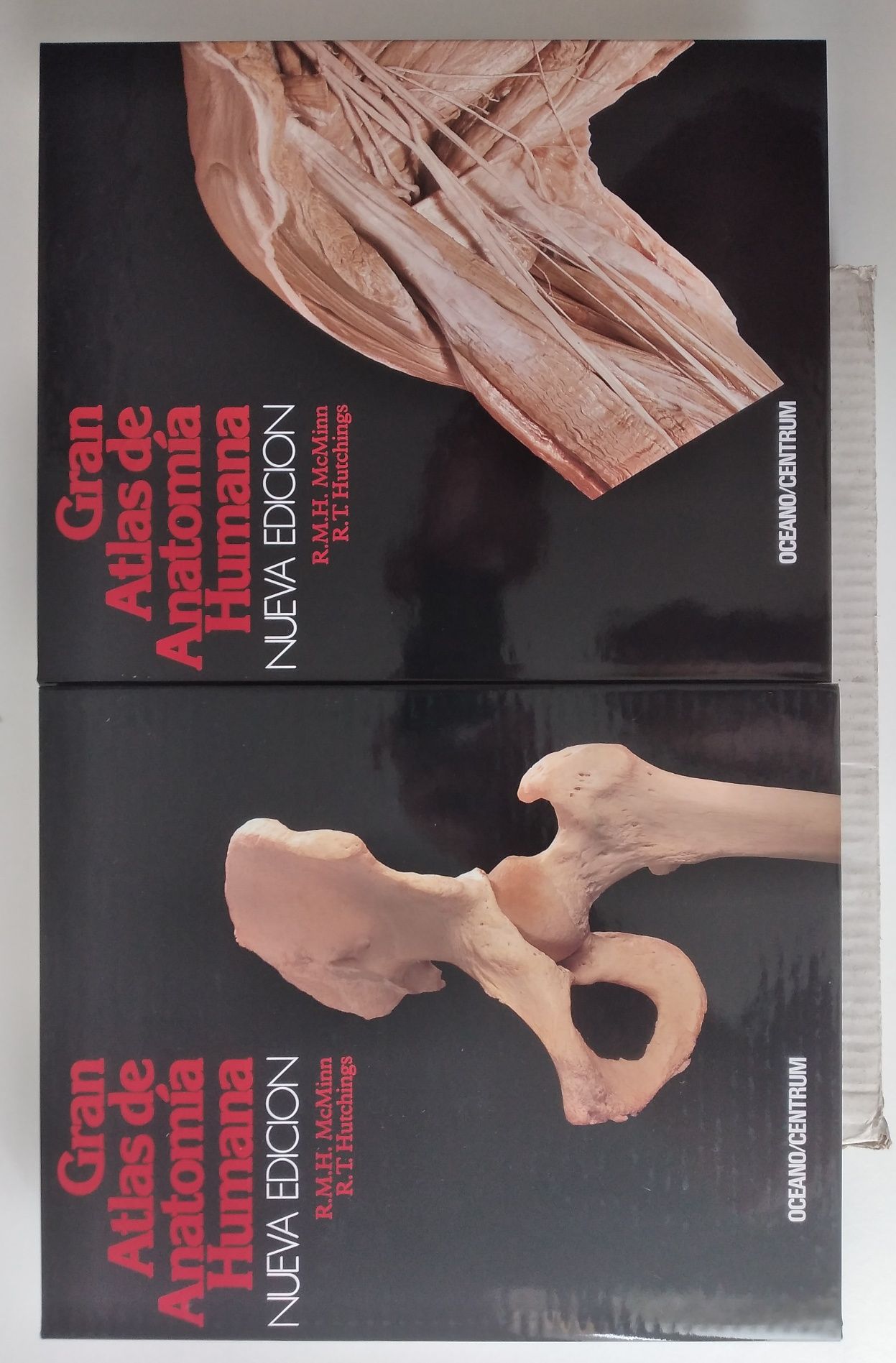 Atlas Anatomia Humana - 2 livros novos em Espanhol