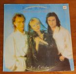Новая коллекция С. Монтьель Арсенал Orchester Cambridge La Isla Bonita