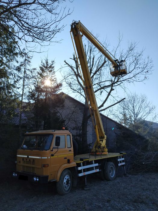 Malowanie , Naprawy , Mycie Dachów Czyszczenie rynien Usługi dekarskie
