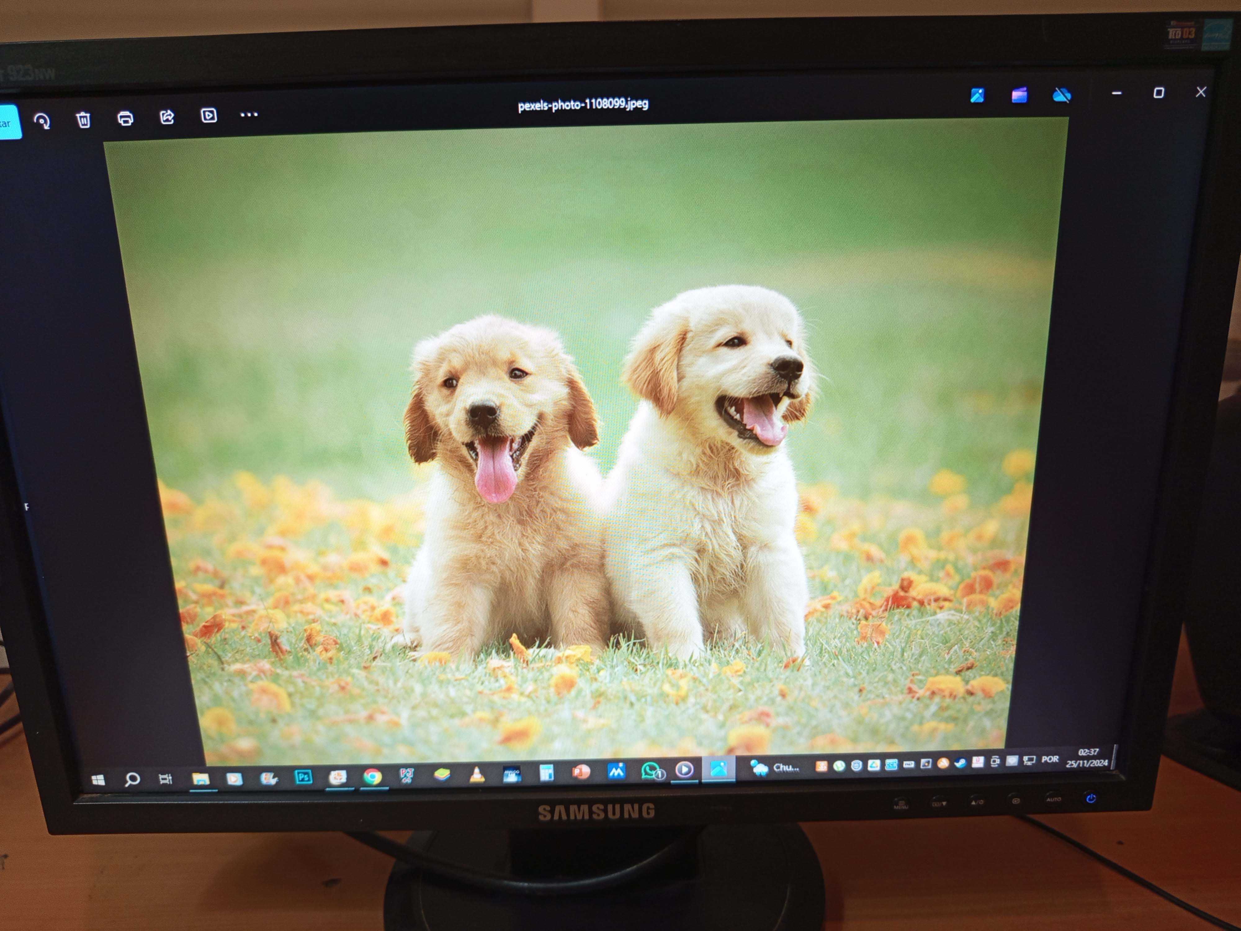 Monitor Samsung LS19