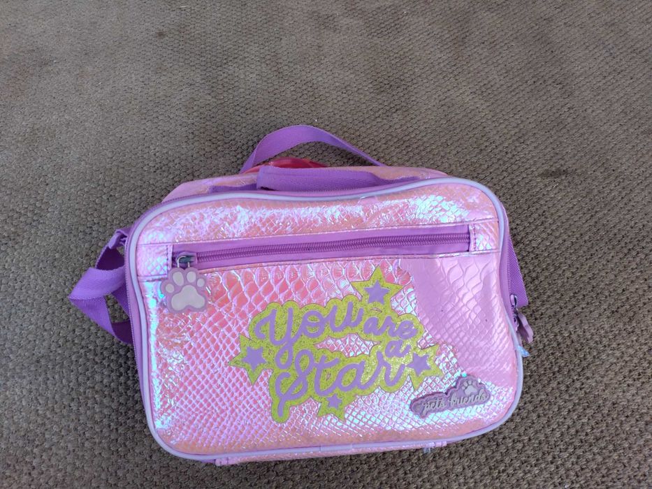 Lancheira Pets Friends