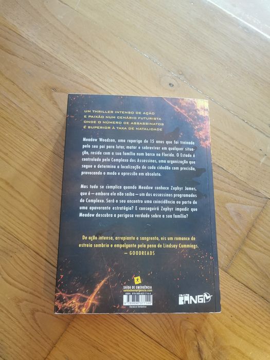O complexo dos Assassinos Lindsay Gummings