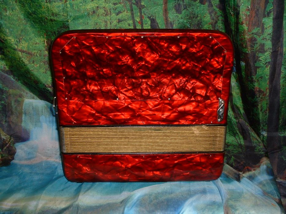Avenda Acordeao R.556