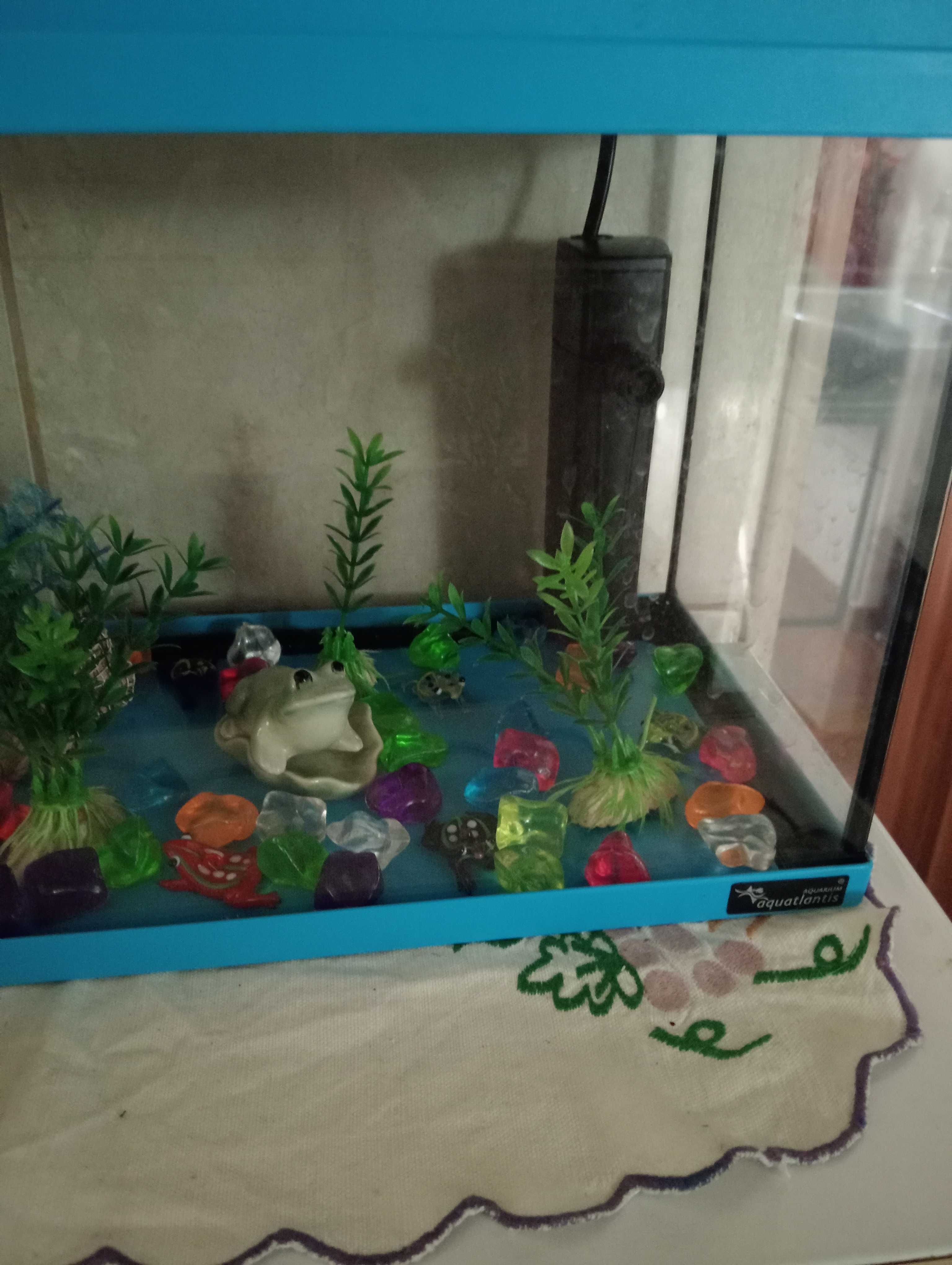 Aquário de peixes