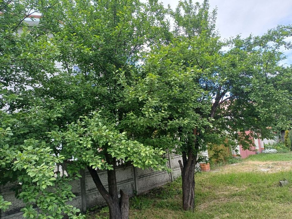 Продам дом Новострой в Новоалександровке, ул. Центральная