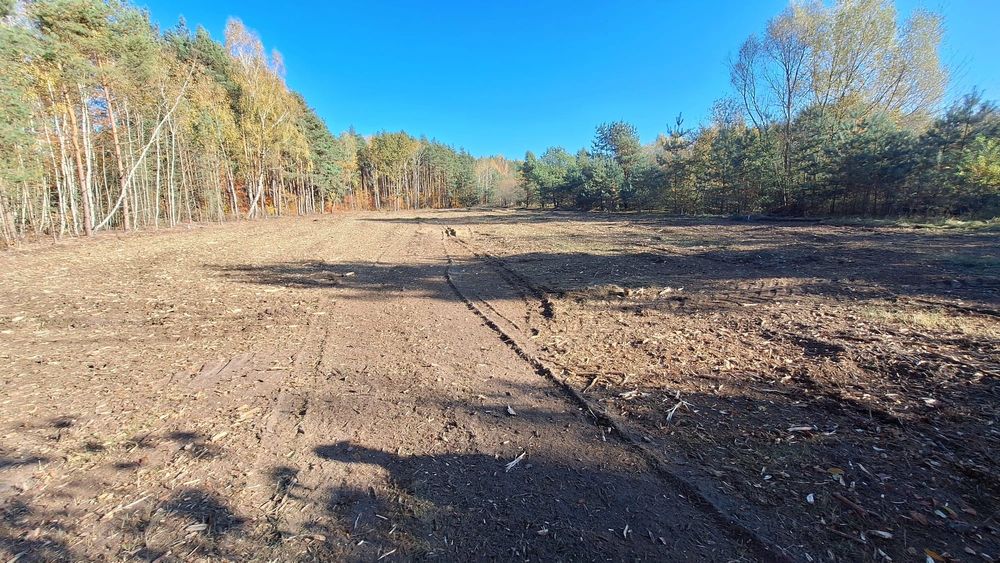 Mulczowanie,Wycinki drzew,Karczowanie,Mulczer Wgłębny Powierzchniowy