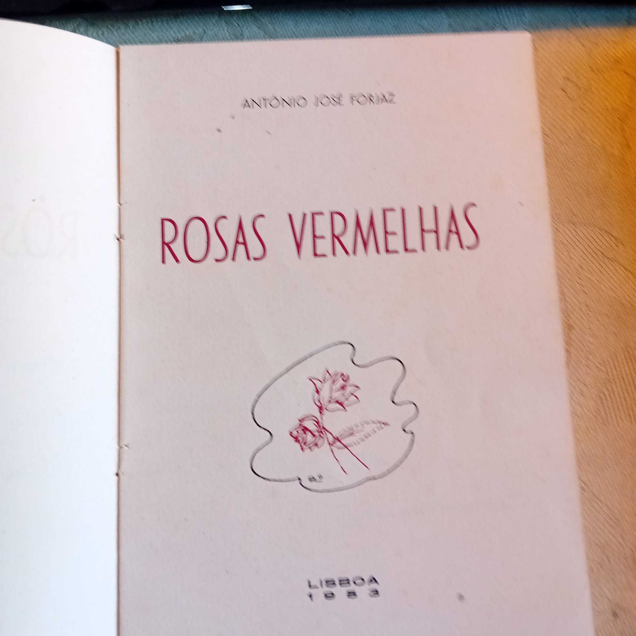 António José Forjaz, Rosas Vermelhas (c. assinatura e dedic. do autor)