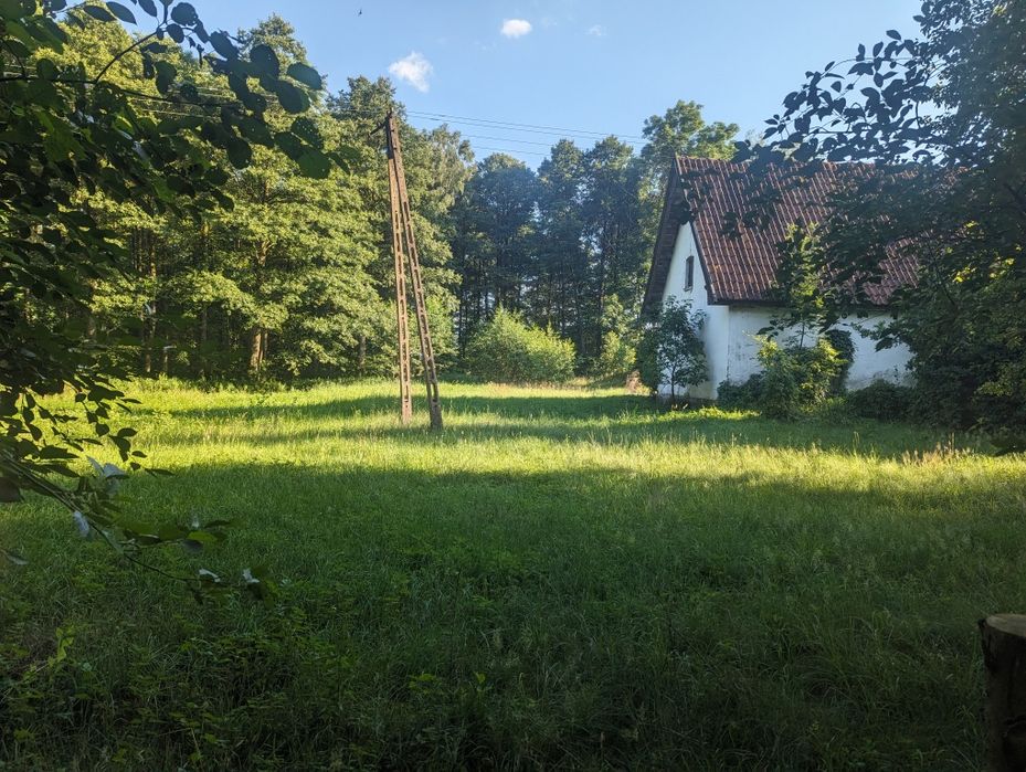 Urocze siedlisko w lesie na Mazurach Szczytno z budynkiem gospodarczym