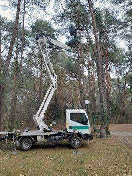 Wycinka Drzew Pielęgnacja Ogrodów