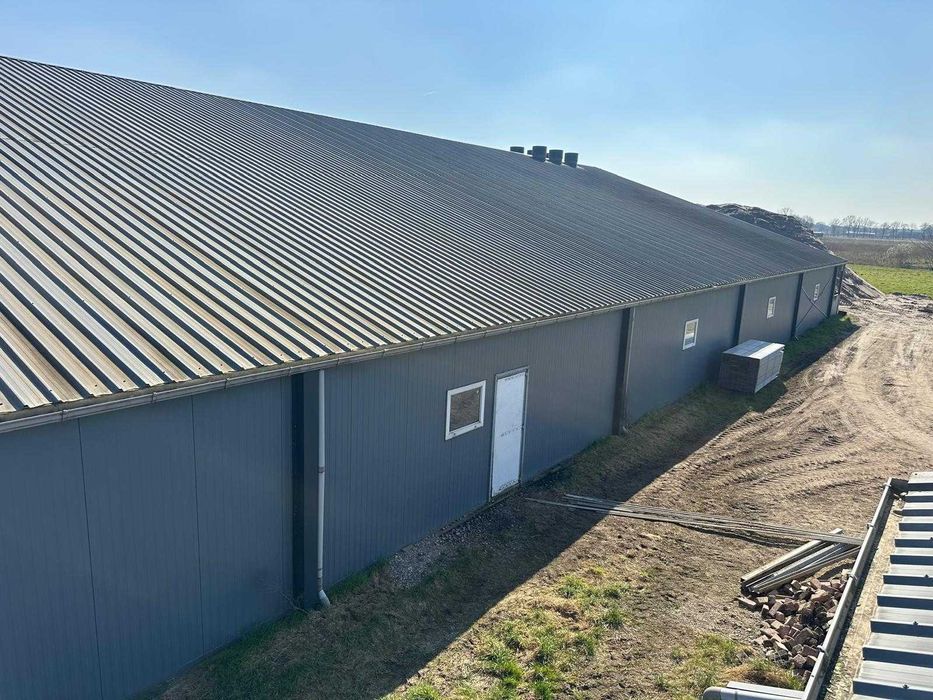 Kompletna hala rolnicza konstrukcja stalowa 33,5x45 m płyta warstwowa