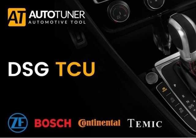 ChipTuning DSG Adblue Egr Dpf Fap Clone Immo off