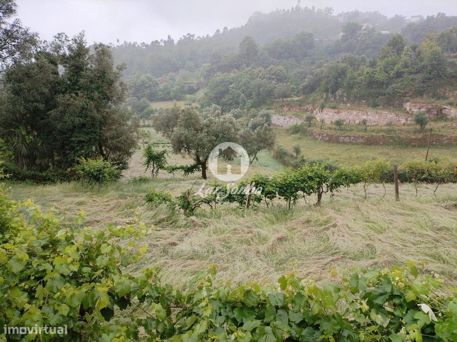 Terreno rústico, para venda, Terras de Bouro - Vilar da Veiga