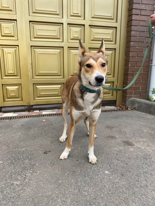 Матуся, де ти? Я так чєкаю на тебе!