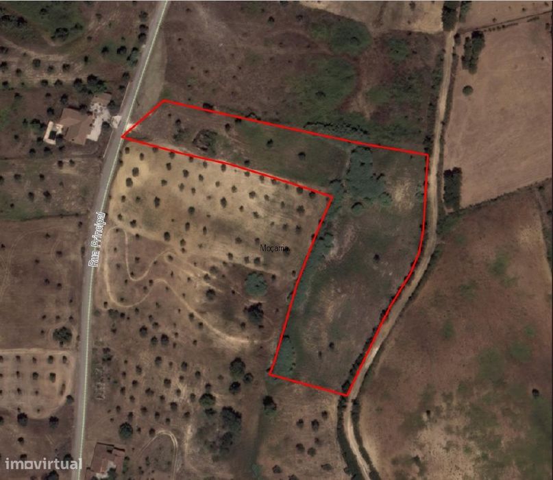 Terreno com ruina para Restaurar Junto a Santarém