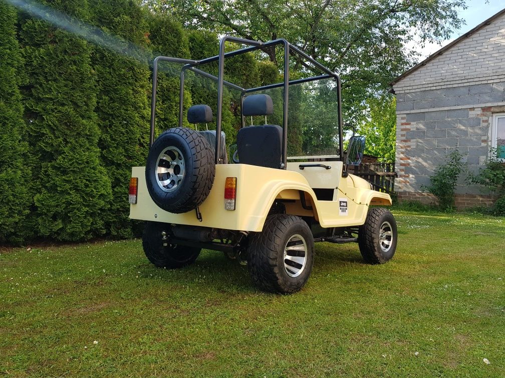 Mini Jeep Wrangler (Quad, buggy, UTV, ATV, Gokart, melex)