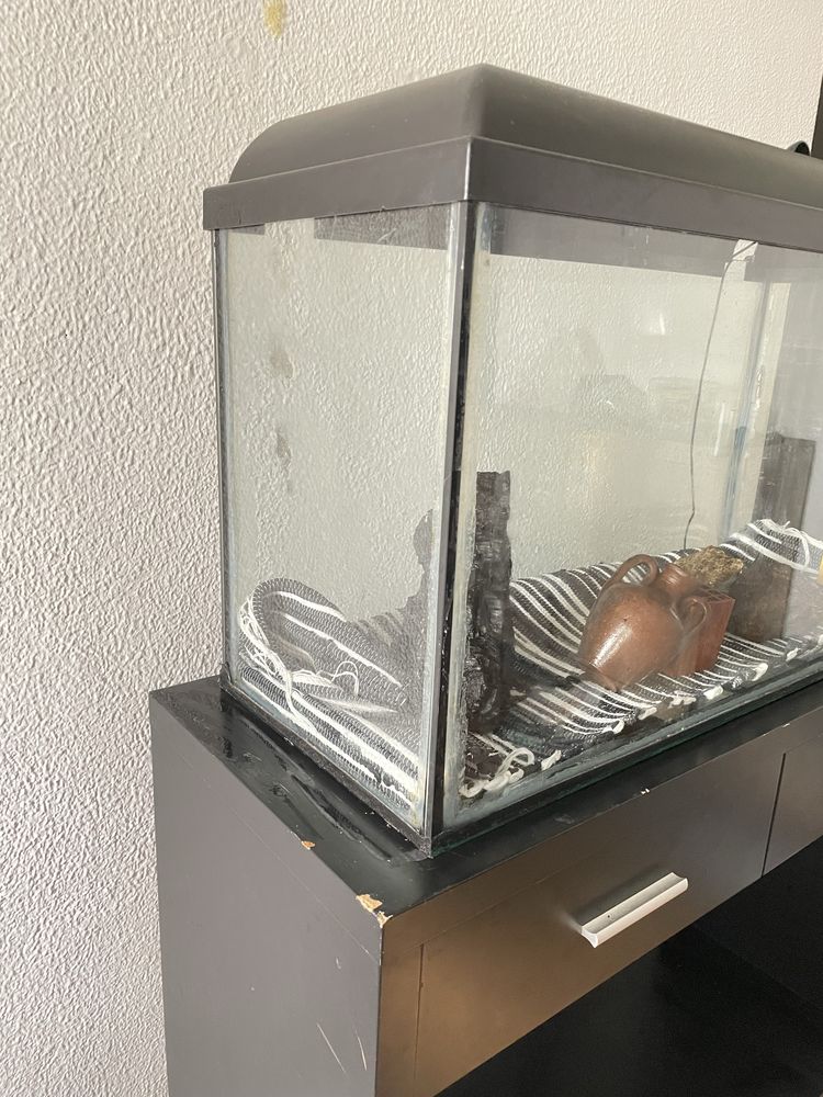 Aquário 100L com móvel e elementos decorativos