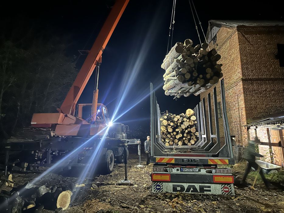 Продам дрова дубові