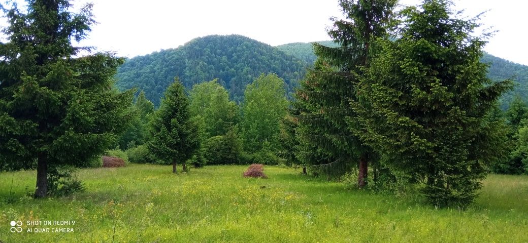 Земельна ділянка в с. Гута Богородчанський р-н