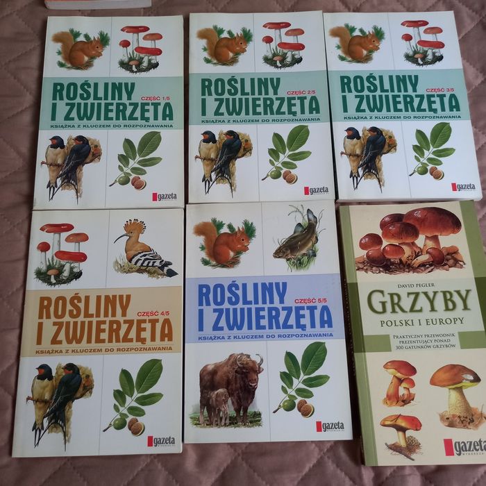Rośliny i zwierzęta "+ "Grzyby Polski i Europy" za 30 zł