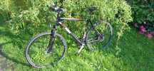 Rower KTM Chronos