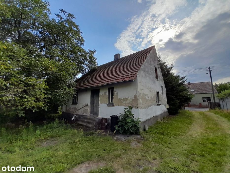 Dom na ogromnej działce wraz z halą 1485m2  – Masłowo