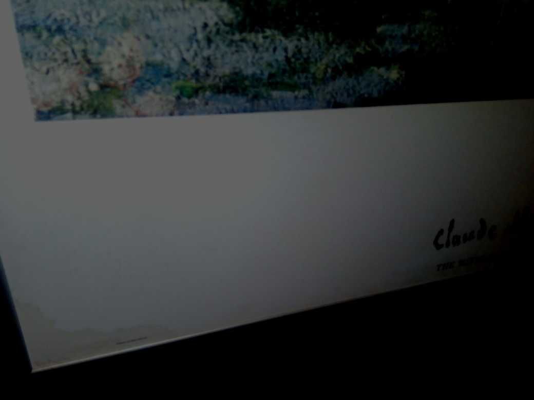 Claude Monet Lilie wodne w stawie duży obraz plakat ok. 128cm