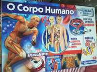 Jogo corpo humano