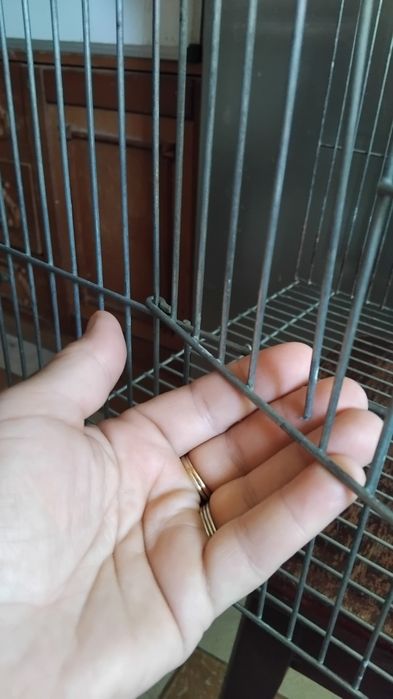 Клітка без поддону, для птахів