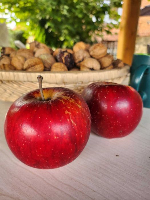 Jabłka rubinola 5 kg