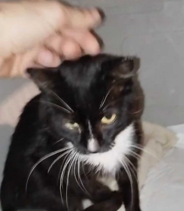 PILNE:wraca na działki!   On ufa i kocha