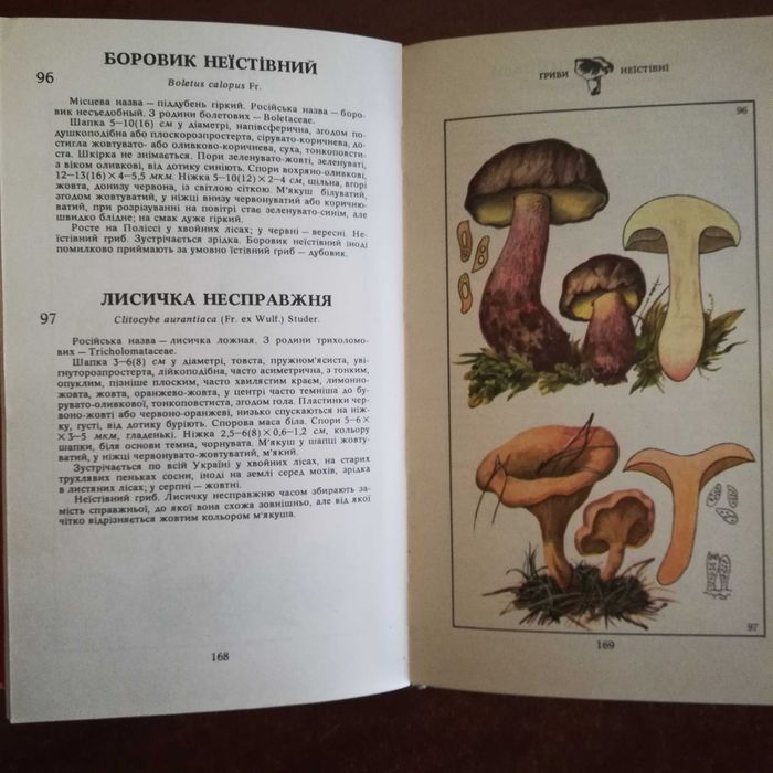 Зерова М. Гриби (їстівні, умовно їстівні, неїстівні, отруйні)