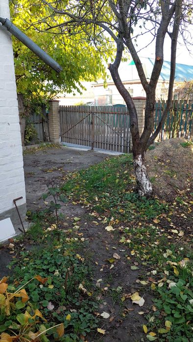 Продам два житлових будинки з великими ділянками які розташовані поряд